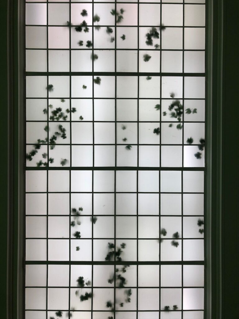 Day 4 - Hamburger Banhof ceiling installation [pic by ED]
