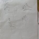 The children's drawings from the wonderful workshop with Chris Riddell on illustration, freedom of expression and storytelling (10/24)