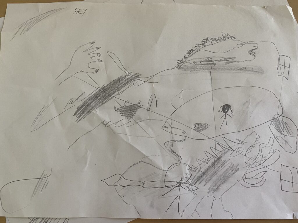 The children's drawings from the wonderful workshop with Chris Riddell on illustration, freedom of expression and storytelling (20/24)