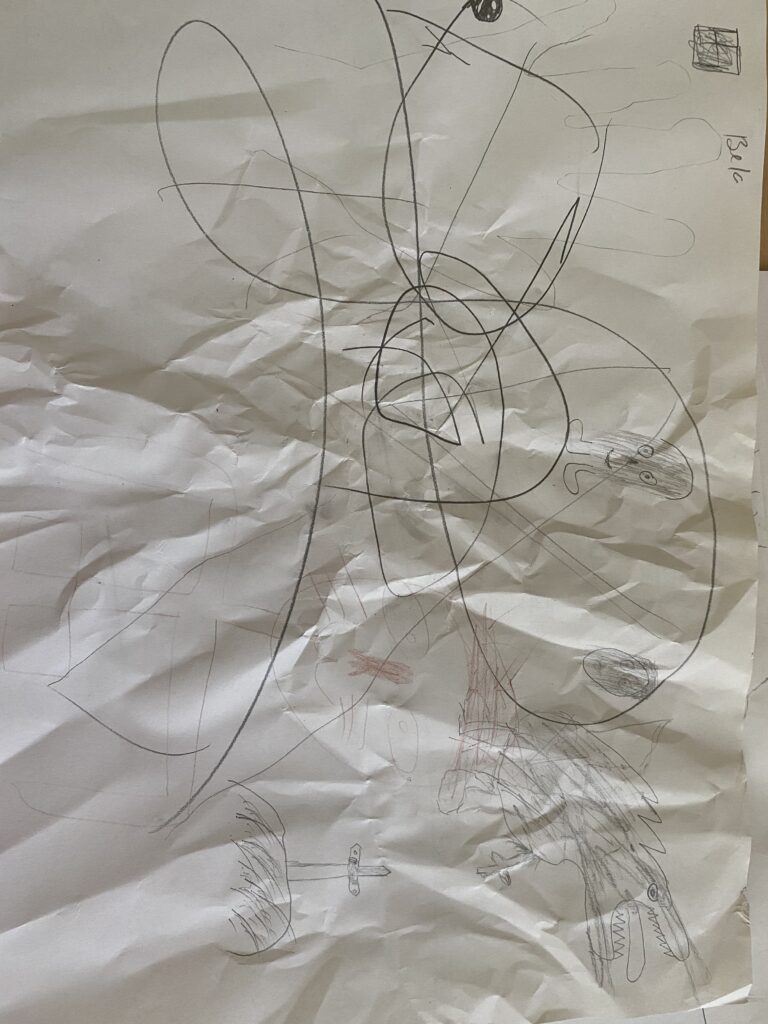 The children's drawings from the wonderful workshop with Chris Riddell on illustration, freedom of expression and storytelling (19/24)
